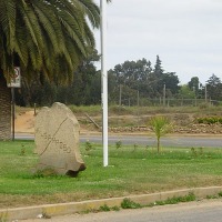 Foto de Algarrobo