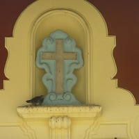 Foto de Algarrobo