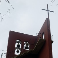 Foto de Algarrobo