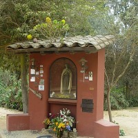 Foto de Algarrobo