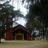 Foto de Algarrobo
