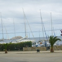Foto de Algarrobo