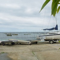 Foto de Algarrobo