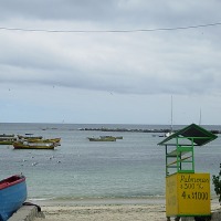 Foto de Algarrobo