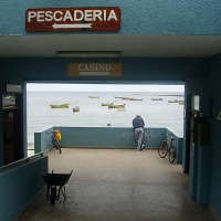 Foto de Algarrobo