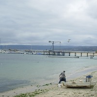 Foto de Algarrobo