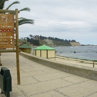 Foto de Algarrobo