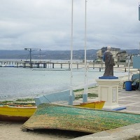 Foto de Algarrobo