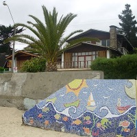 Foto de Algarrobo