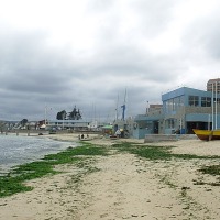 Foto de Algarrobo