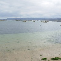 Foto de Algarrobo