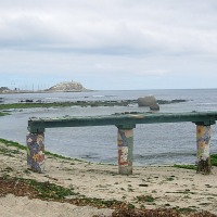 Foto de Algarrobo