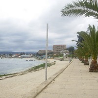 Foto de Algarrobo