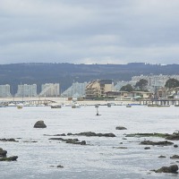 Foto de Algarrobo