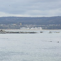 Foto de Algarrobo