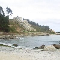 Foto de Algarrobo
