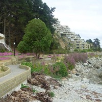 Foto de Algarrobo