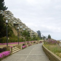 Foto de Algarrobo