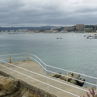 Foto de Algarrobo