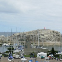 Foto de Algarrobo