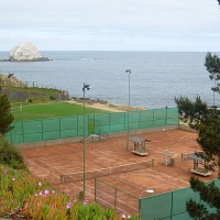 Foto de Algarrobo