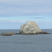 Foto de Algarrobo