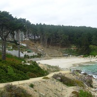 Foto de Algarrobo
