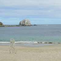 Foto de Algarrobo