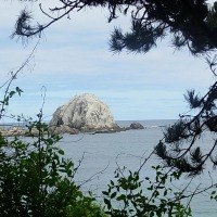 Foto de Algarrobo