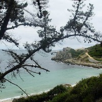 Foto de Algarrobo