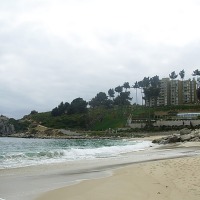 Foto de Algarrobo