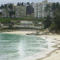 Foto de Algarrobo