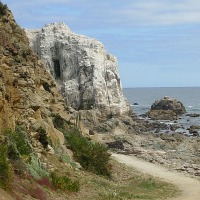 Foto de Algarrobo