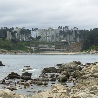Foto de Algarrobo