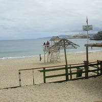 Foto de Algarrobo