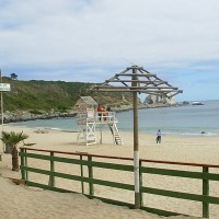Foto de Algarrobo