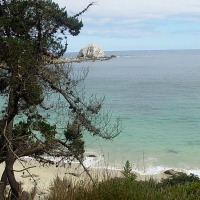 Foto de Algarrobo