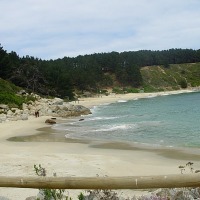Foto de Algarrobo