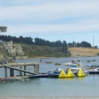 Foto de Algarrobo