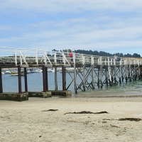 Foto de Algarrobo