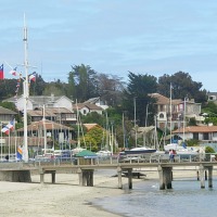Foto de Algarrobo