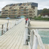 Foto de Algarrobo
