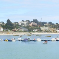 Foto de Algarrobo