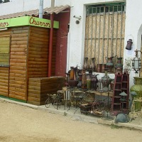Foto de Algarrobo