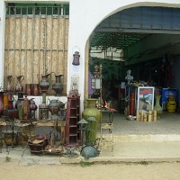 Foto de Algarrobo