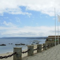 Foto de Algarrobo