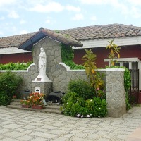 Foto de Algarrobo