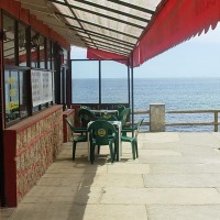 Foto de Algarrobo