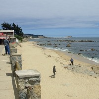 Foto de Algarrobo