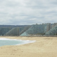 Foto de Algarrobo